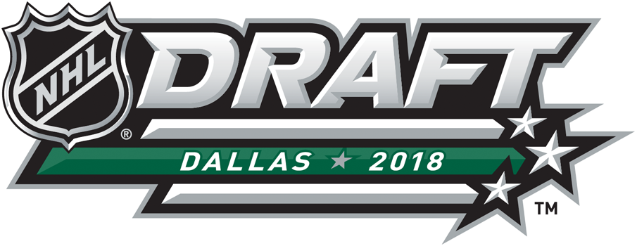 NHL Draft 2018 Alternate Logo iron on transfers for clothing